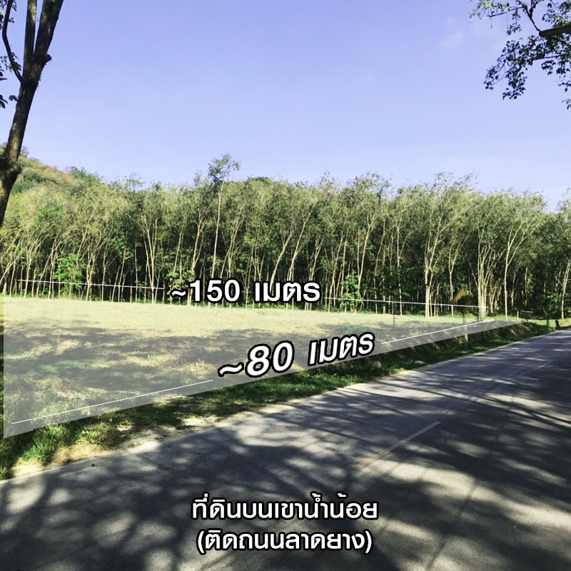 B2.jpg