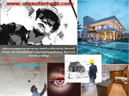 14.CONSULT.jpg