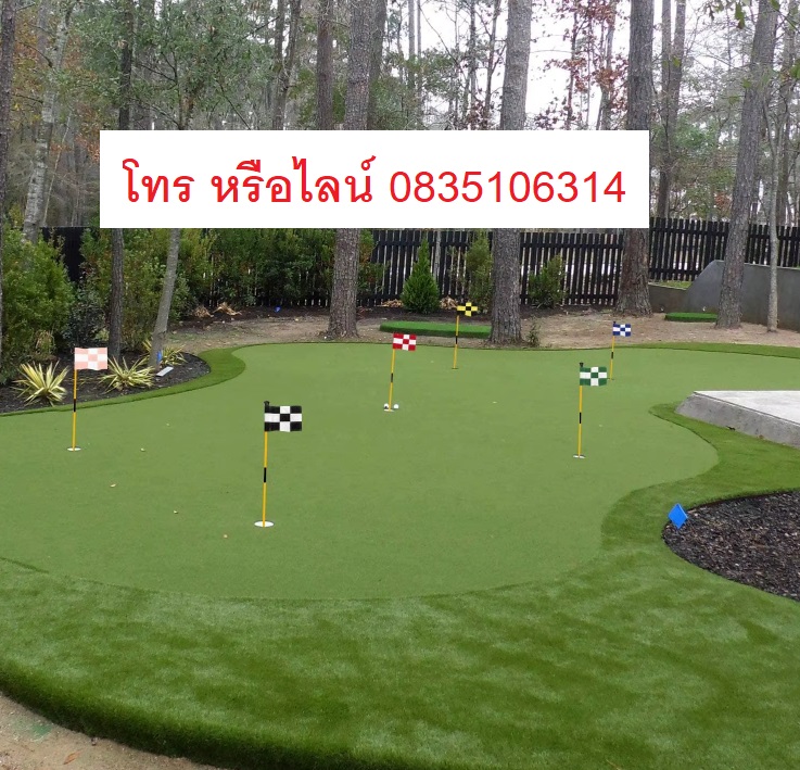 หญ้าเทียมกอฟ2.jpg