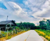 ที่ดินติดถนน ทางไปโตนงาช้าง ไฟพร้อม ราคาไร่ละ 5.5 แสน