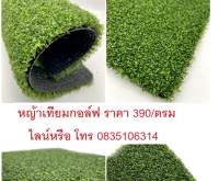 บริษัทรับทำรับปูติดตั้งขายจำหน่ายหญ้าเทียมพัตต์กอล์ฟหญ้าเทียมgolfหญ้าเทียม กอล์ฟหญ้าเทียมสนามกอล์ฟ