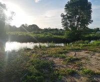 ขายที่ดิน​ ต.พะวง​ จ.สงขลา ตรว.ละ​ 12,000-15,000​ บาท