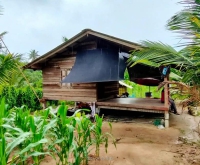 สวนมะพร้าว สวนผสม พร้อมบ้านสวน 7 ไร่ ราคา 7 ล้านบาท