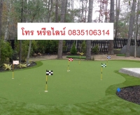รับทำรับปูติดตั้งขายจำหน่ายหญ้าเทียมพัตต์กอล์ฟหญ้าเทียมgolfหญ้าเทียม กอล์ฟหญ้าเทียมสนามกอล์ฟ