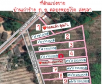 ที่ดิน ต. อ.คลองหอยโข่ง ครึ่งไร่ 290,000 บาท