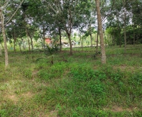 ที่ดินโซนสนามบิน 1 ไร่ น้ำไฟพร้อม ราคา 1.8 ล้าน
